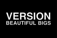 Logo Version