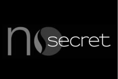 Logo NoSecret